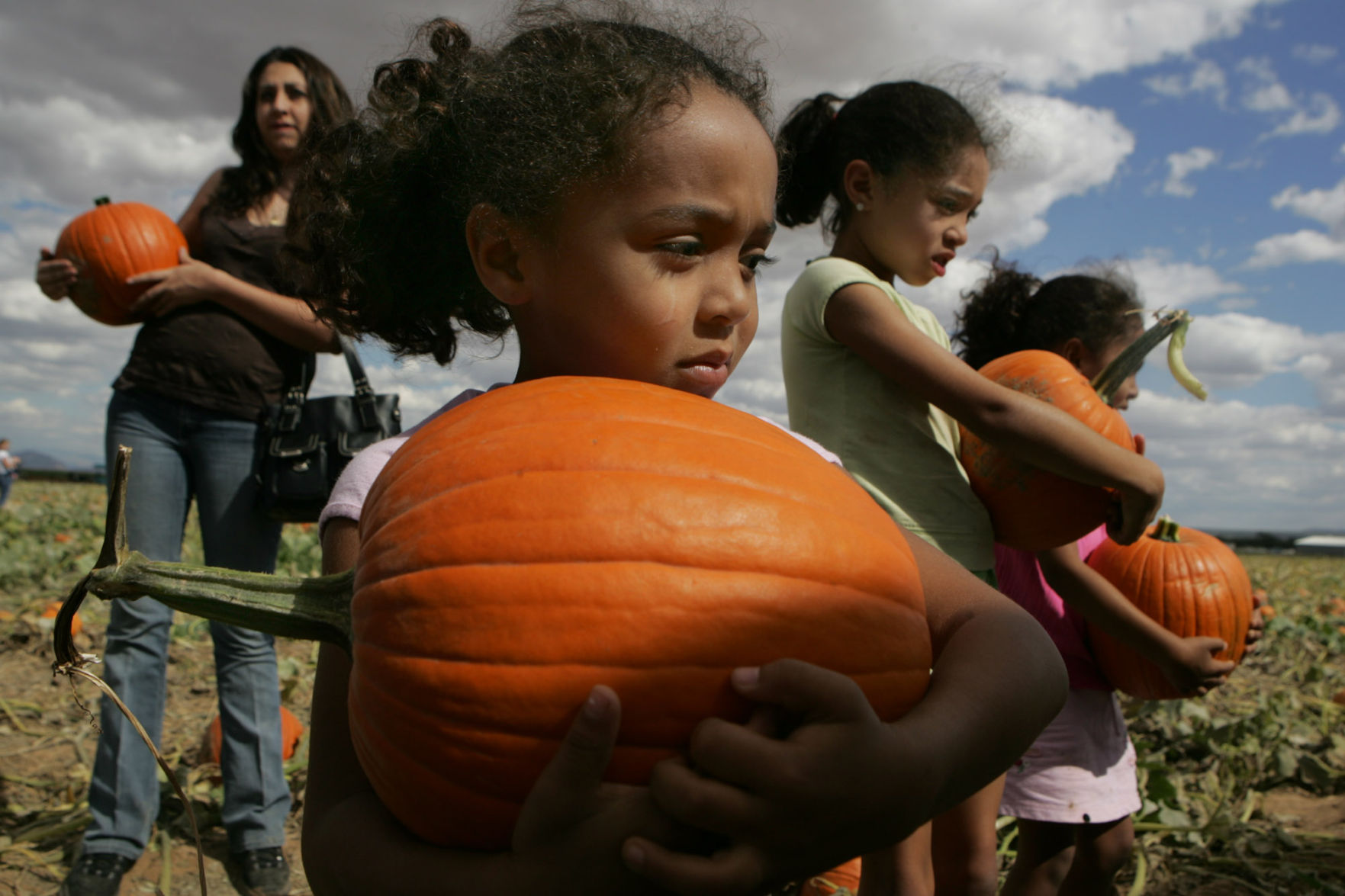 Buckelew Farm Pumpkin Festival & Corn Maze